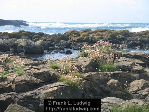 Giant's Causeway